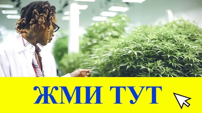 Купить наркотики в Змеиногорске